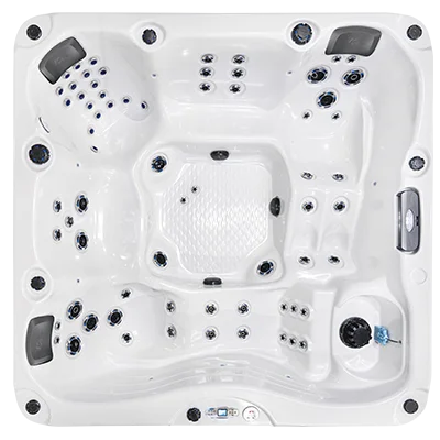 Malibu EC-867DL hot tubs for sale in Naples